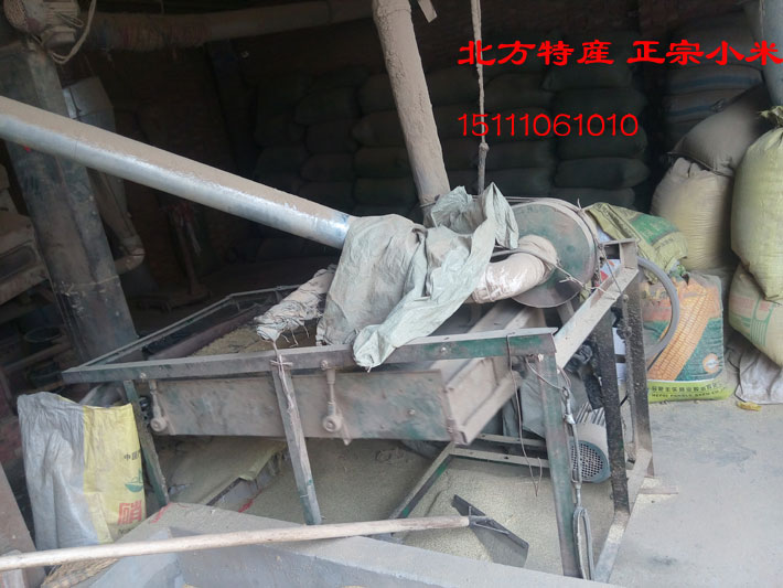 北方特产小黄米